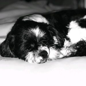 Meet your Posher, Haley